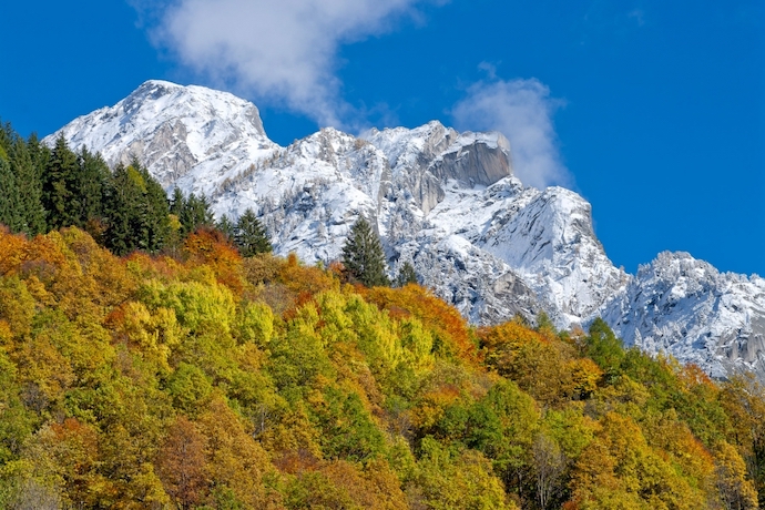 foliage val di mello