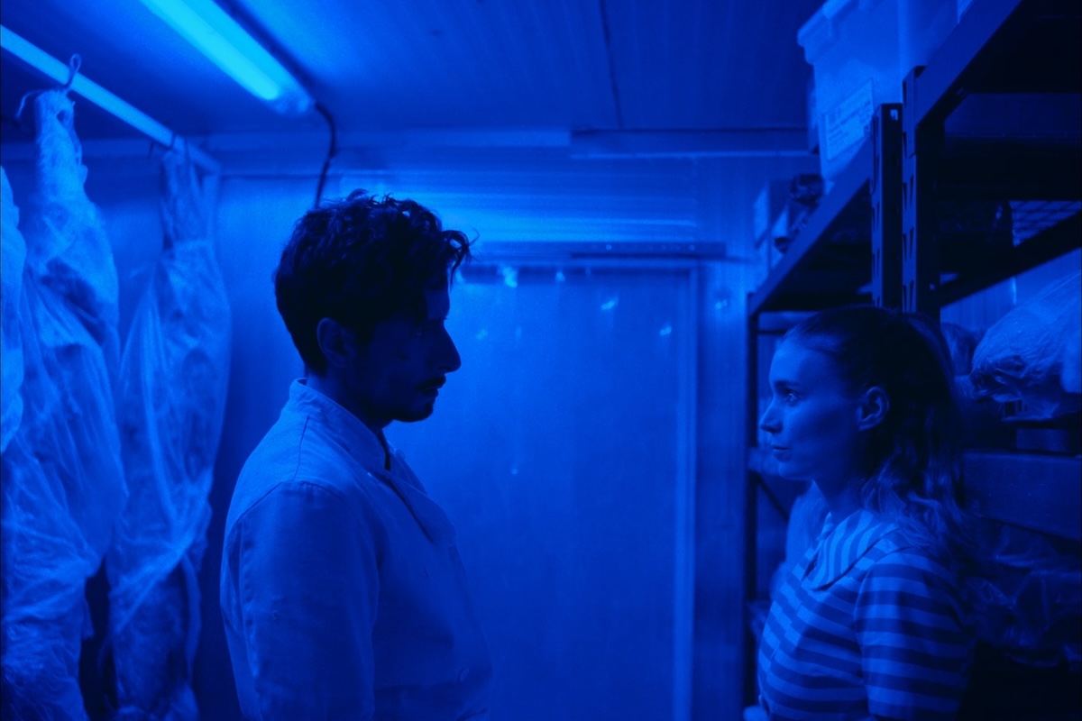 Aragoste a Manhattan, film