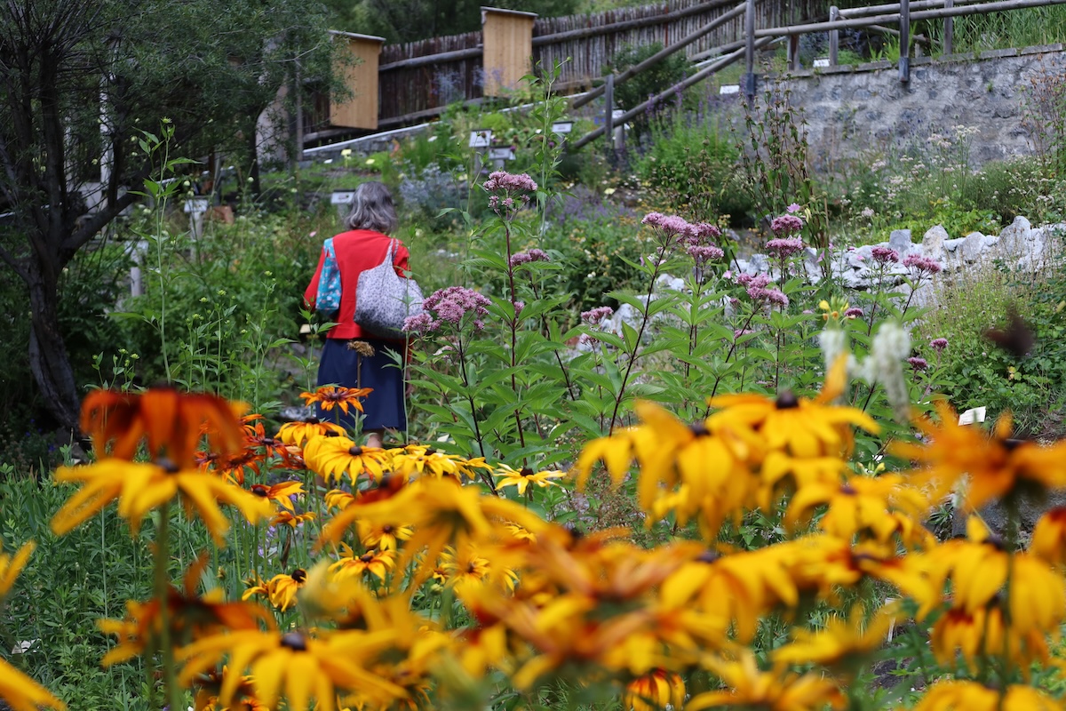 Giardino Alpino Botanico Rezia, Bormio