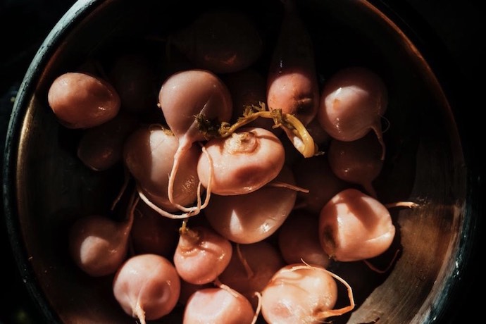 Osterie Italia 2023, Slow Food guida, Remulass Milano