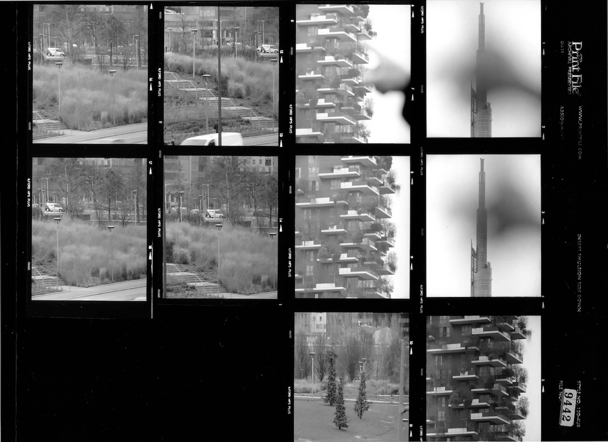 Ramak Fazel, BAM - Biblioteca degli Alberi Milano, Bosco Verticale e Torre UniCredit, 2025, provini da fotocamera analogica Mamya. Ramak Fazel, courtesy Viasaterna