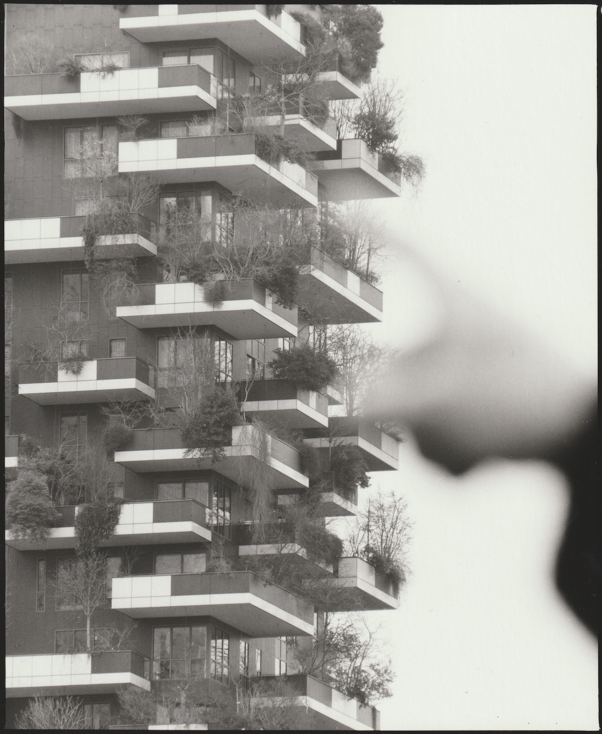 Ramak Fazel, Bosco Verticale, 2025, stampa ai sali d'argento. courtesy Viasaterna