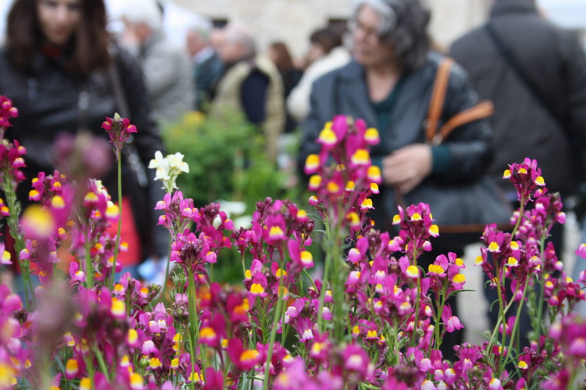 firenze flower show 2023
