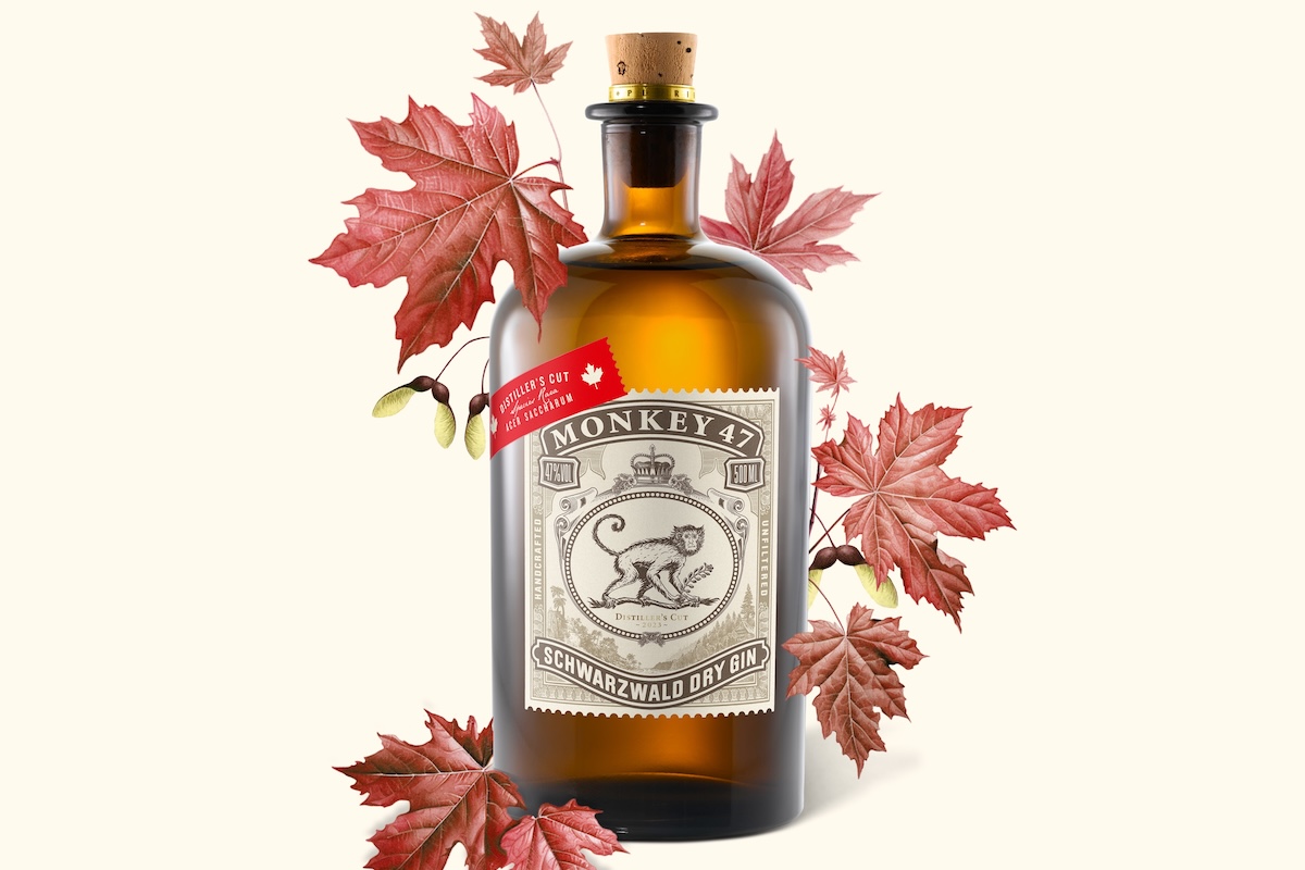 migliori gin per brindisi delle feste, Monkey 47