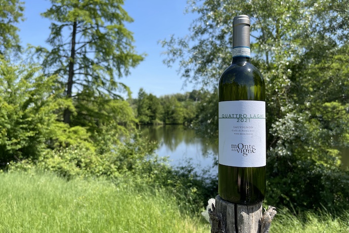 monte delle vigne Sauvignon, picinc estate milano