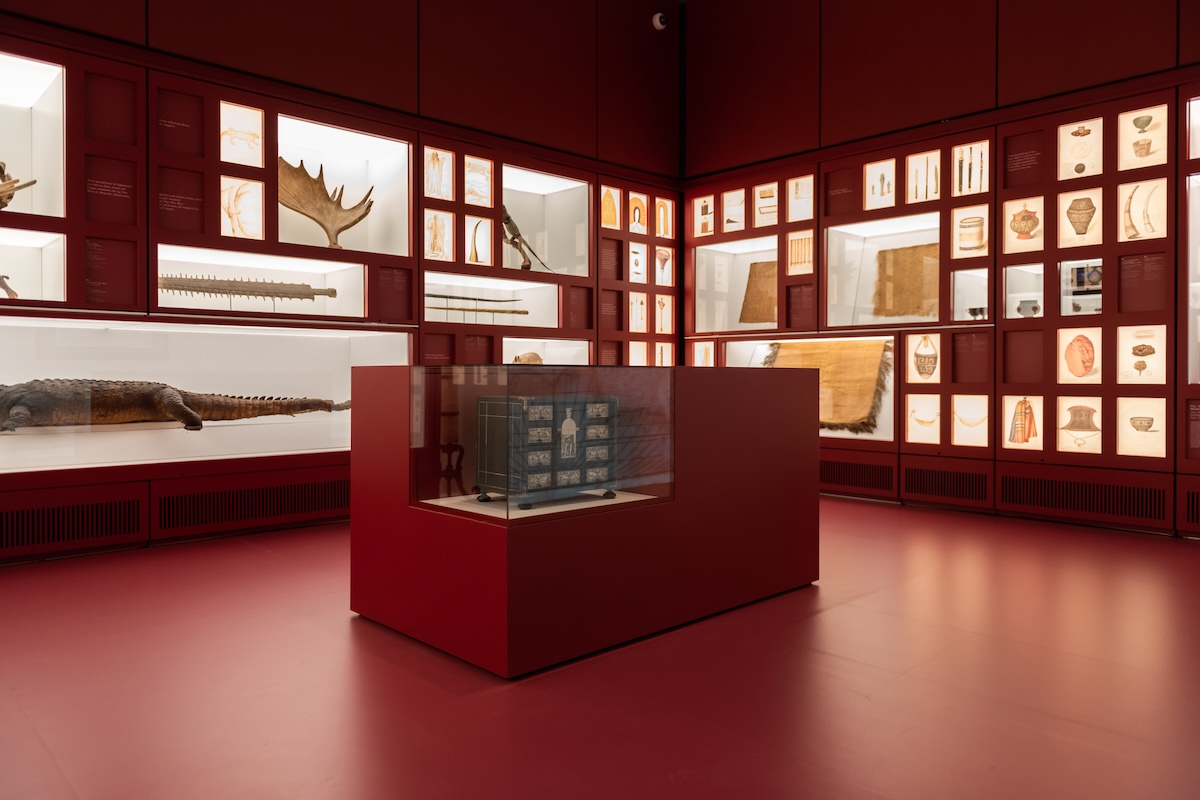 musei gratis milano, Mudec, foto di Carlotta Coppo