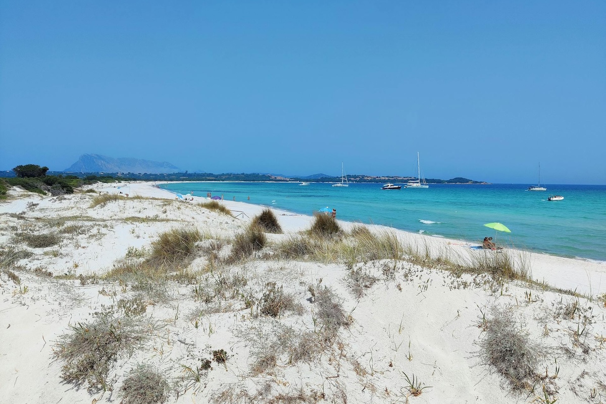 spiagge sardegna 2025, cala brandinchi