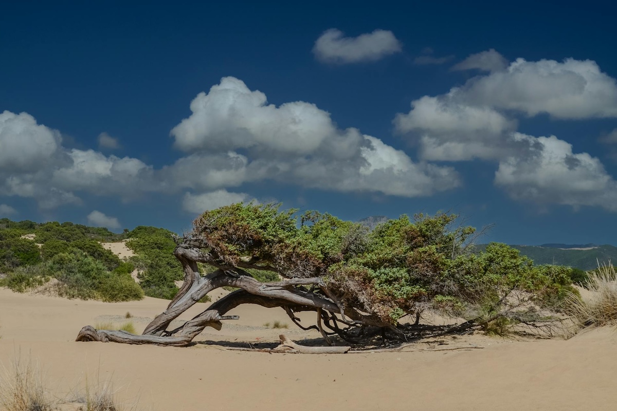 spiagge sardegna 2025, piscinas